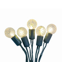 6.3' Battery Operated 20L Warm White & Multicolor Berry Bulb Fairy LED Green Wire In PDQ