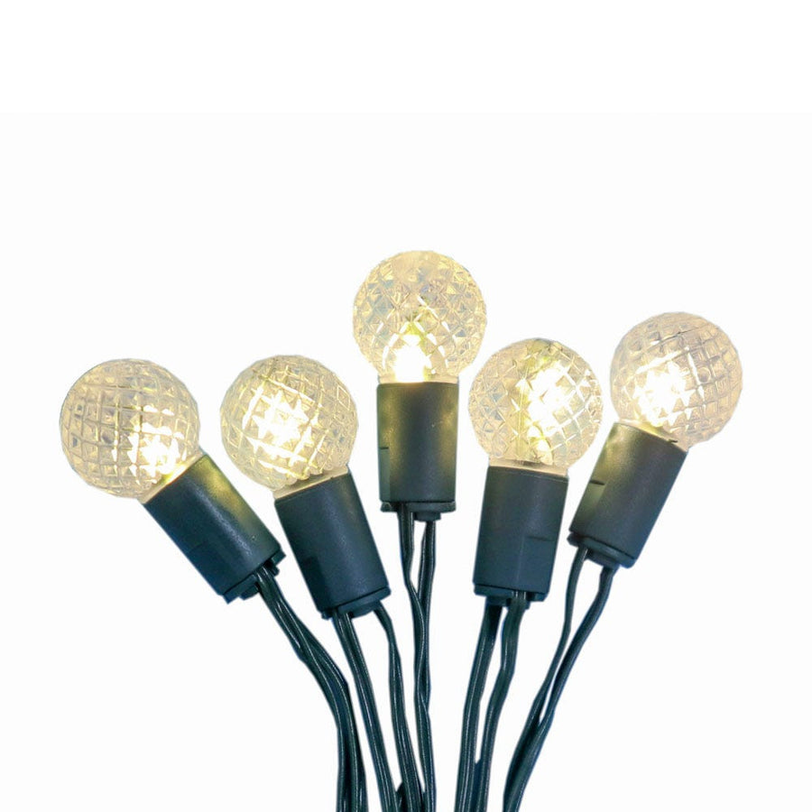 6.3' Battery Operated 20L Warm White & Multicolor Berry Bulb Fairy LED Green Wire In PDQ
