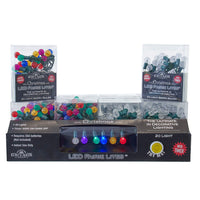6.3' Battery Operated 20L Warm White & Multicolor Berry Bulb Fairy LED Green Wire In PDQ