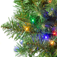 9' Pre-Lit Multicolored Cluster LED Noble Fir Garland