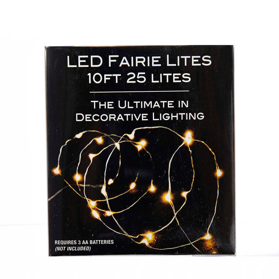 8' Battery Operated 25L Cool White Fairy LED Silver Wire Light Set In PDQ