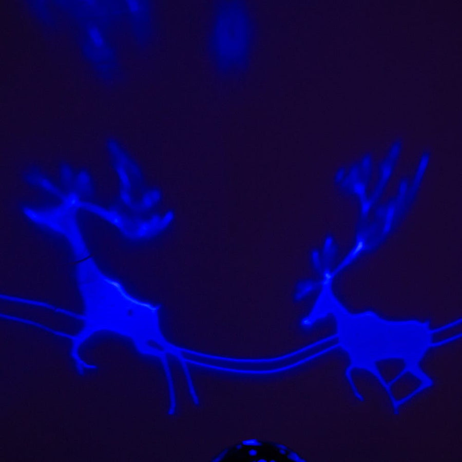 Battery Operated or USB Powered Reindeer Night Light Projector