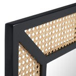Tulia Mirror