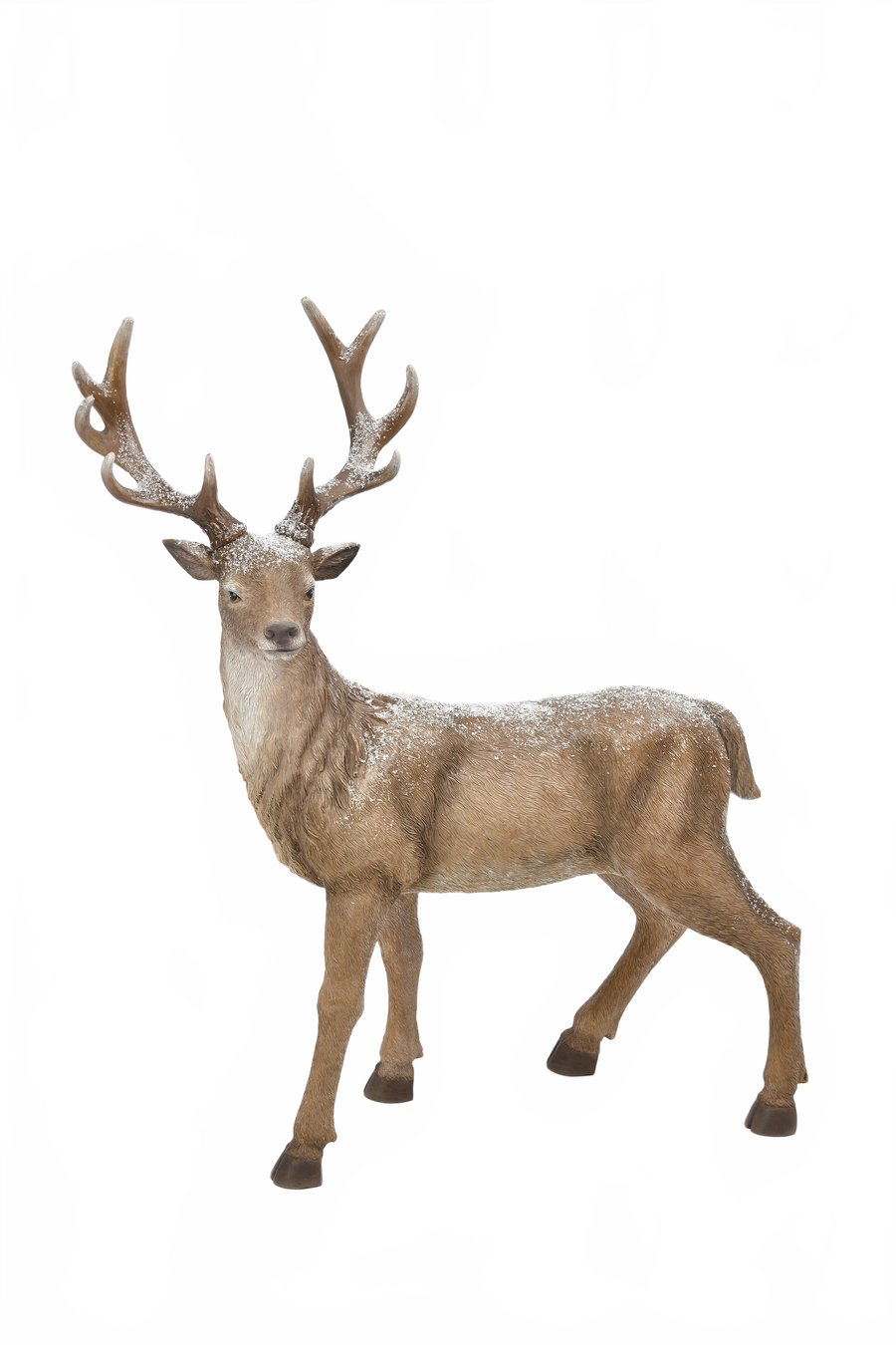 Standing Deer