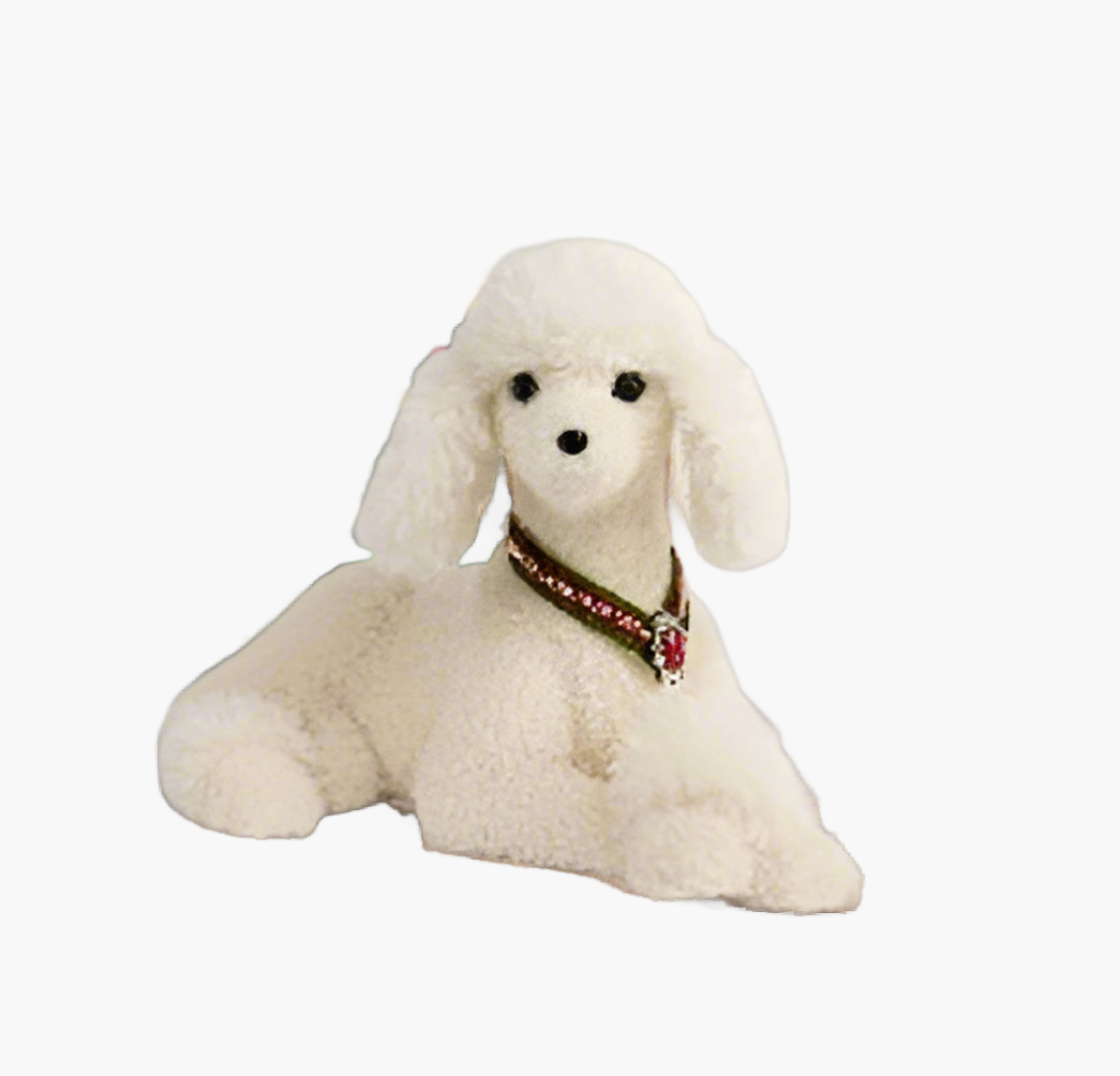 13" White Poodle with Collar