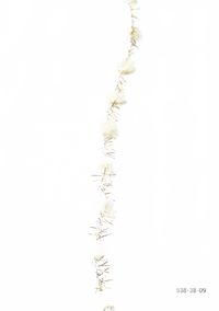 3/8 Inch Pom Pom With Ivory/Gold Metallic Fringe