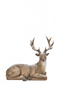 Lying Deer