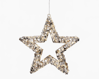 1.3 FT 400 Micro LED Warm White Gold Star