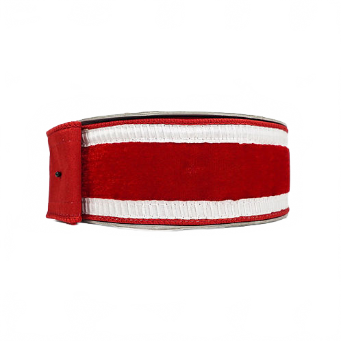 Ribbon Pleated Borders With Red And White