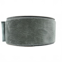 Ribbon 2.5