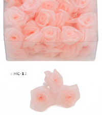 Rlc 72/Box Watermelon