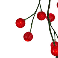 6' 48-Light Red Cotton Balls With Warm White LED Lights Green Vine Garland