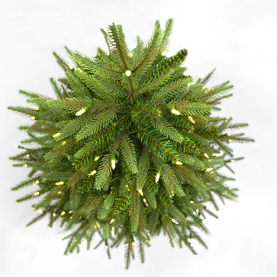 5' Pre-Lit Clear Incandescent Grand Fir Medium Tree