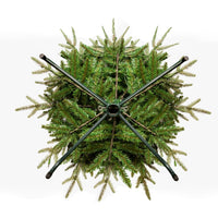5' Pre-Lit Clear Incandescent Grand Fir Medium Tree