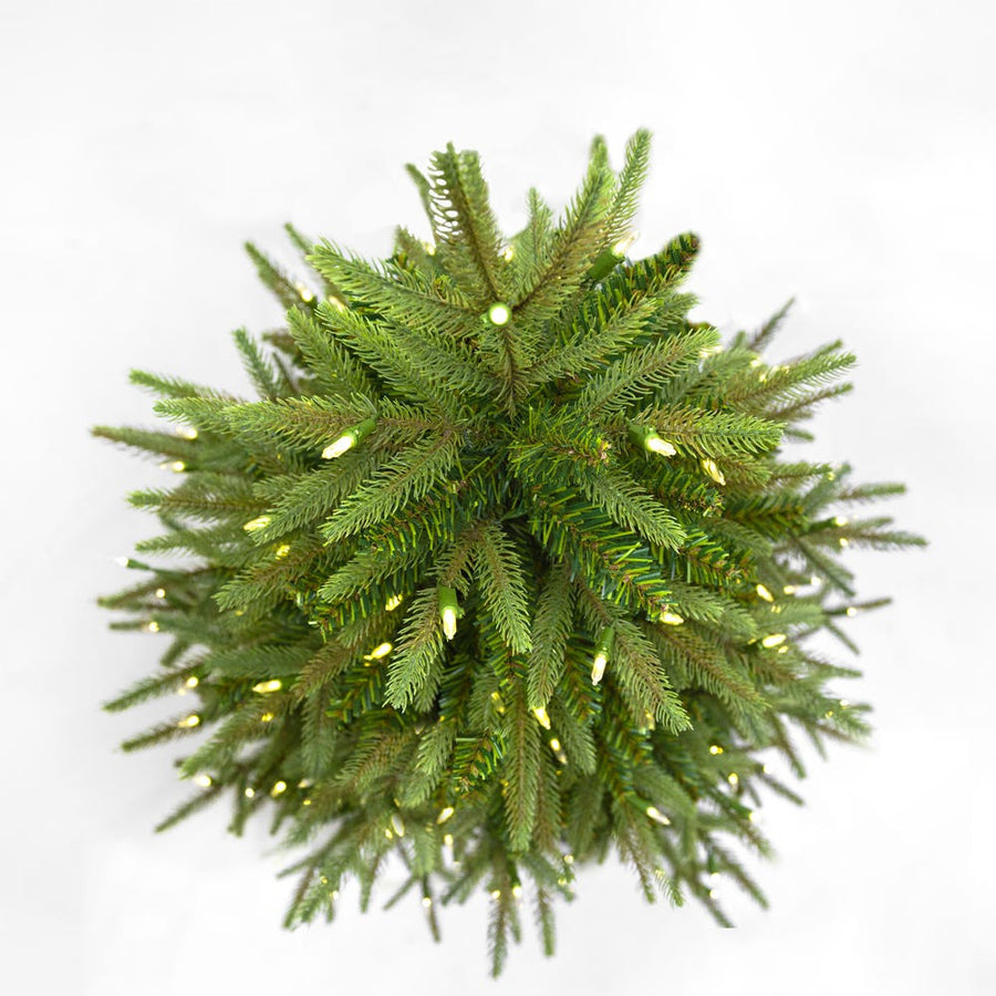 5' Pre-Lit Warm White LED Grand Fir Medium Tree
