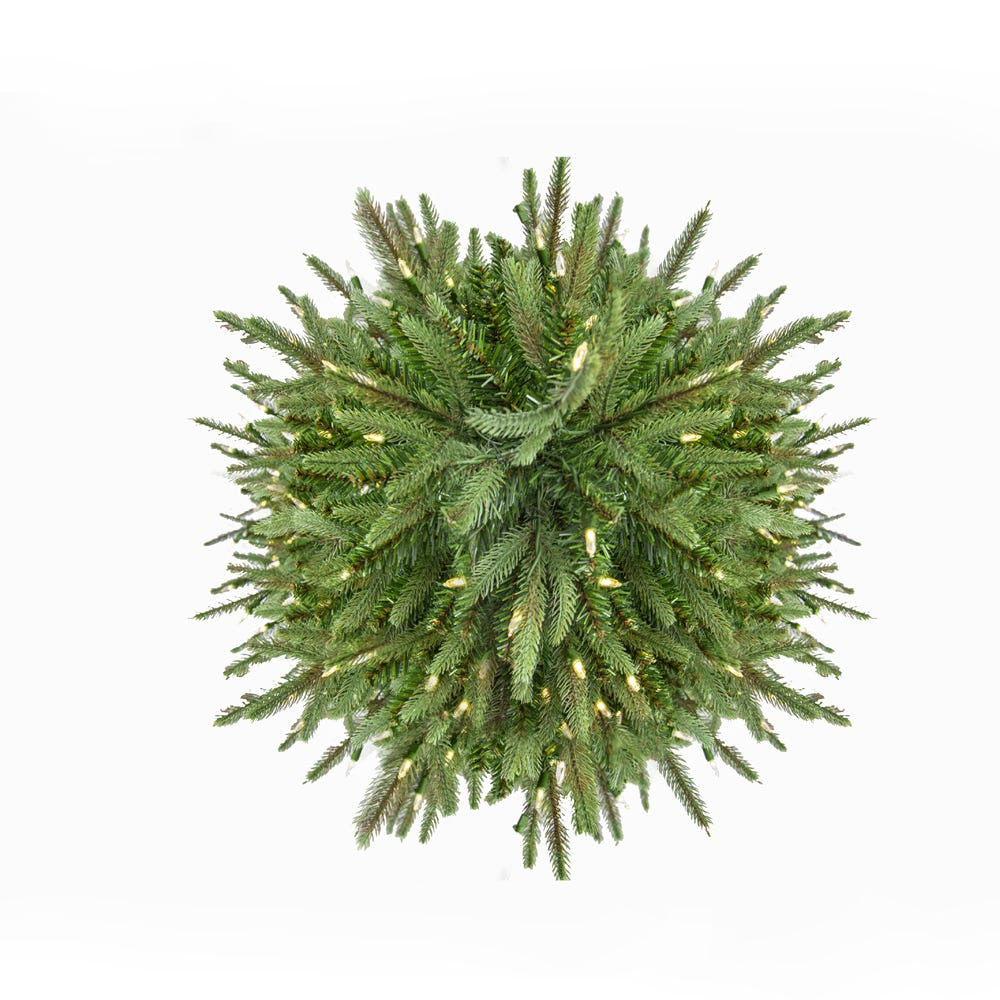 7' Pre-Lit Warm White LED Grand Fir Medium Tree