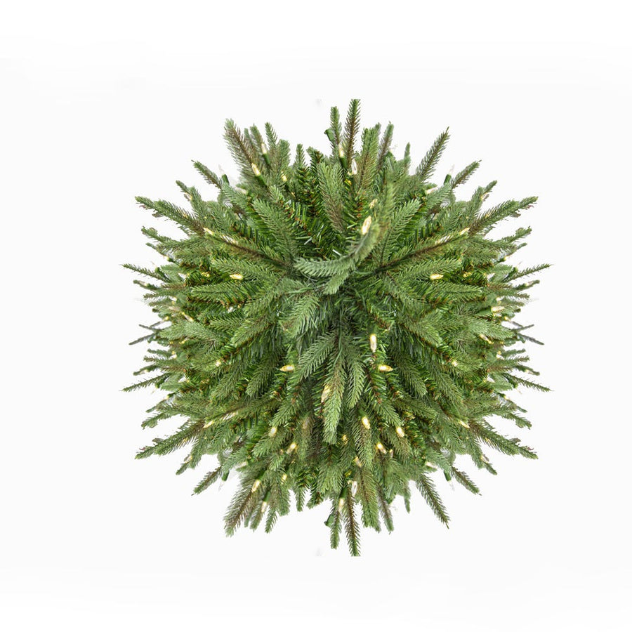 7' Pre-Lit Warm White LED Grand Fir Medium Tree