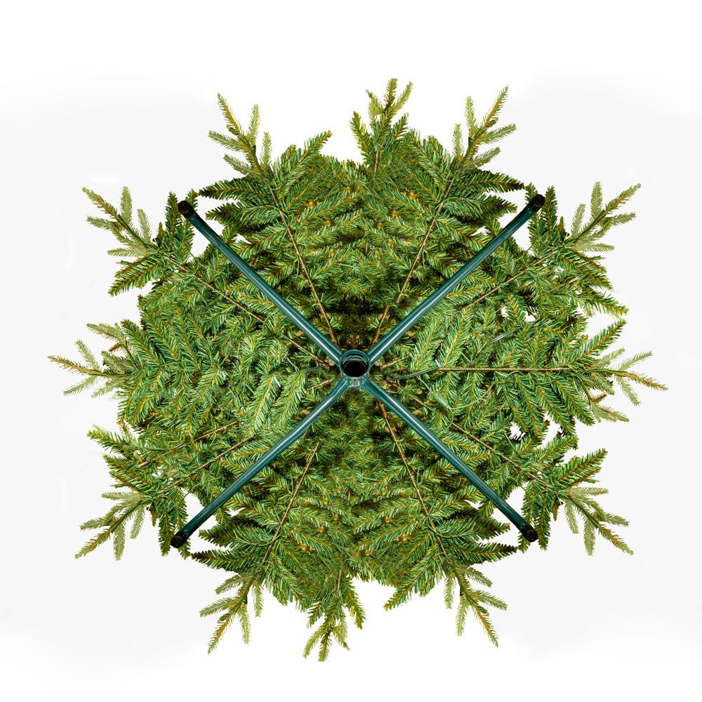 7' Pre-Lit Warm White LED Grand Fir Medium Tree