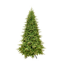7' Pre-Lit Warm White LED Grand Fir Medium Tree