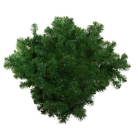 4' Un-Lit Norway Pine Wall Tree