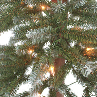 5' Pre-Lit Clear Incandescent Alpine Tree