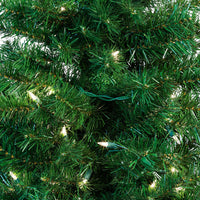 5' Pre-Lit Clear Incandescent Potted Trees