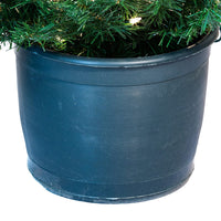 5' Pre-Lit Clear Incandescent Potted Trees
