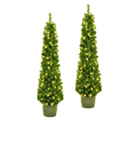 5' Pre-Lit Clear Incandescent Potted Trees