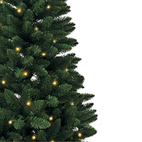 6' Pre-Lit Clear Incandescent Point Pine Tree