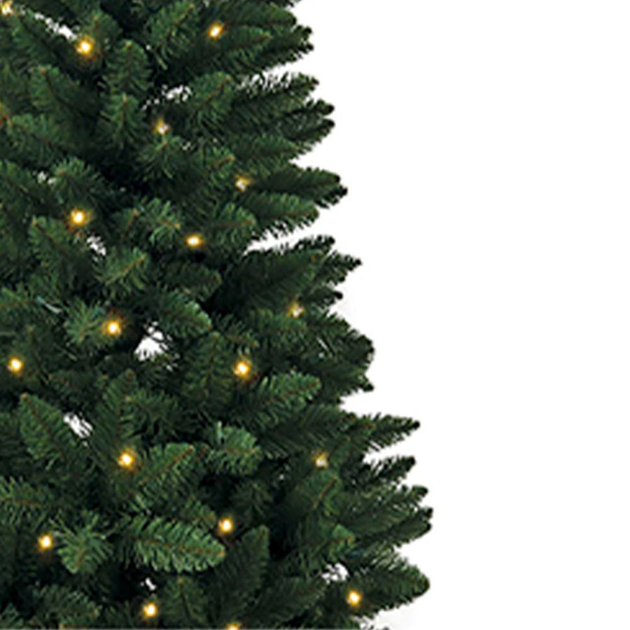 6' Pre-Lit Clear Incandescent Point Pine Tree