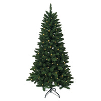 6' Pre-Lit Clear Incandescent Point Pine Tree