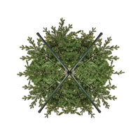 10' Pre-Lit Warm White LED Charleston Tree