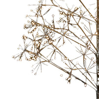 4' Pre-Lit Warm White LED Silhouette Fairy Tree