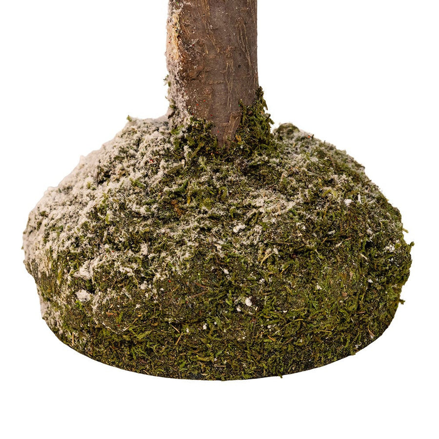 36" Snowy Curly Green Tree