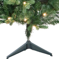 3' Pre-Lit Warm White LED Jackson Pine Tree