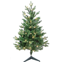 3' Pre-Lit Warm White LED Jackson Pine Tree