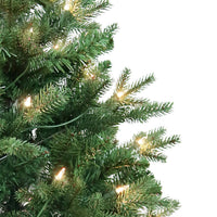 3' Pre-Lit Clear Incandescent Jackson Pine Tree