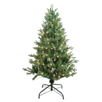 4.5' Pre-Lit Clear Incandescent Jackson Pine Tree