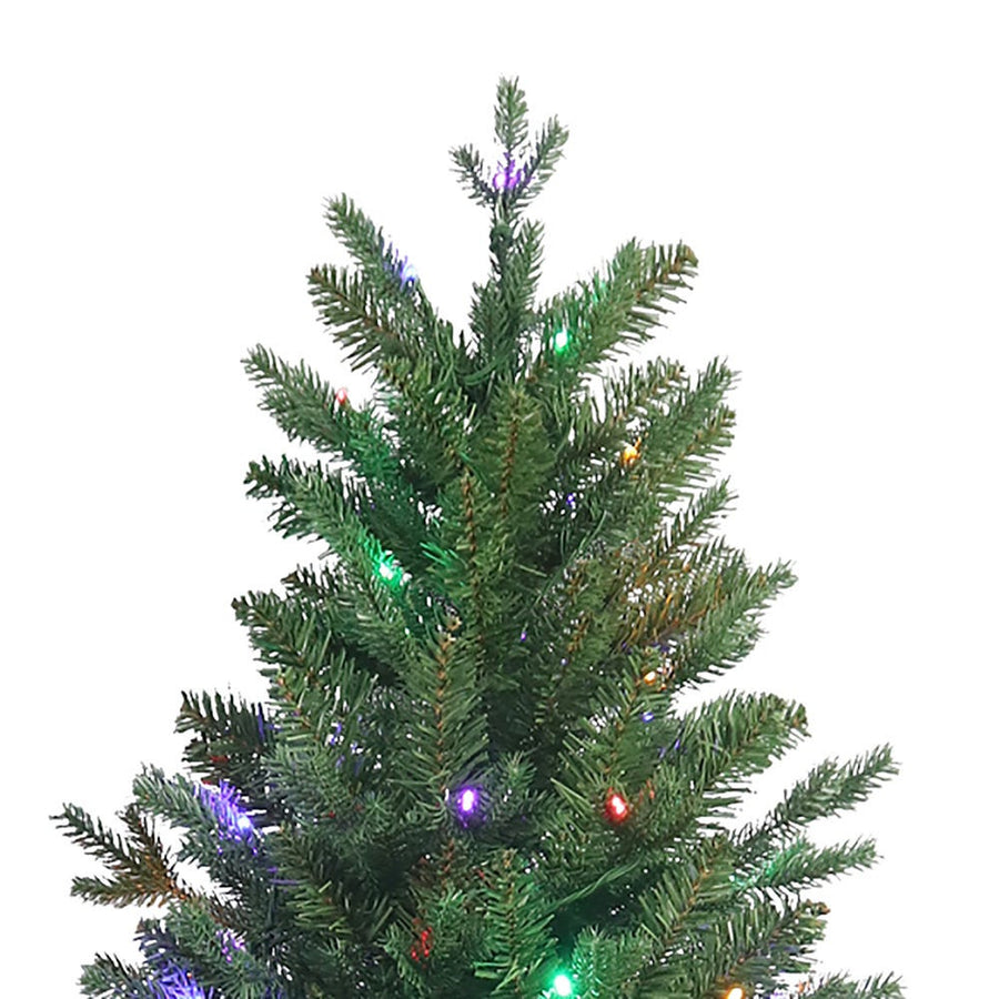 5' Pre-Lit Multicolor LED Jackson Pine Tree