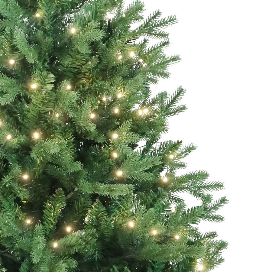5' Pre-Lit Warm White LED Jackson Pine Tree