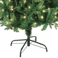 5' Pre-Lit Warm White LED Jackson Pine Tree