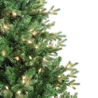 5' Pre-Lit Clear Incandescent Jackson Pine Tree