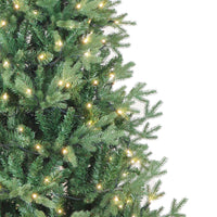 6' Pre-Lit Warm White LED Jackson Pine Tree