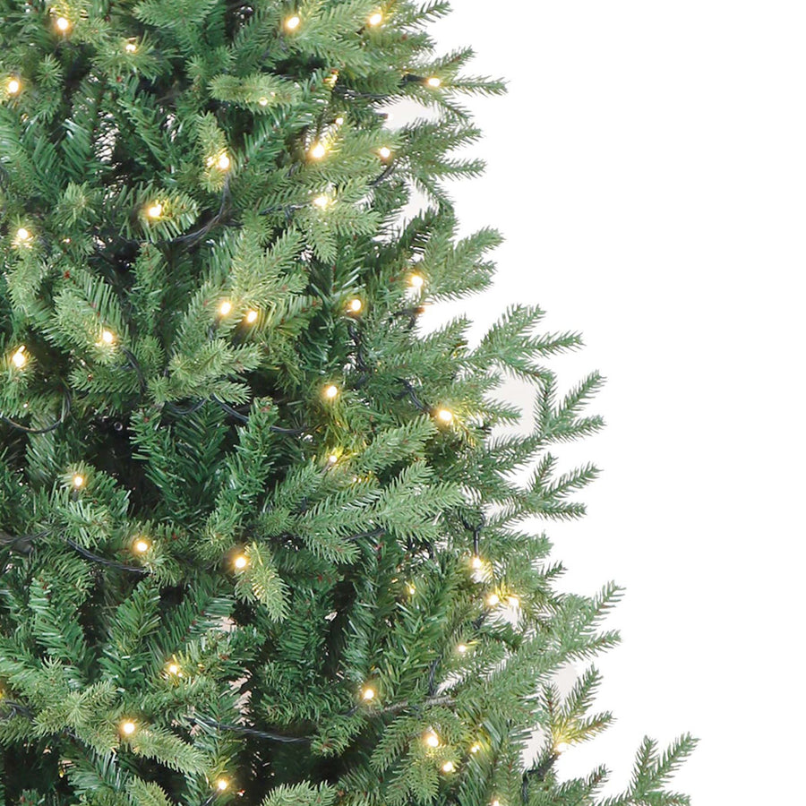 6' Pre-Lit Warm White LED Jackson Pine Tree