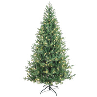 6' Pre-Lit Warm White LED Jackson Pine Tree