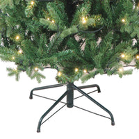 6' Pre-Lit Warm White LED Jackson Pine Tree