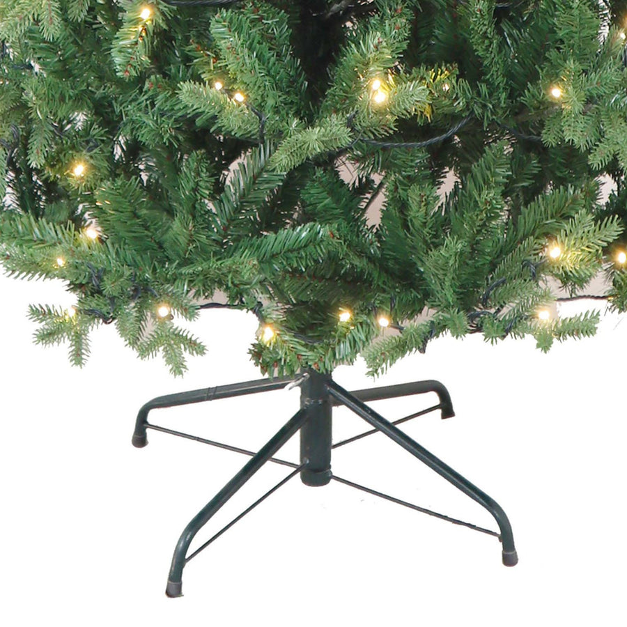 6' Pre-Lit Warm White LED Jackson Pine Tree