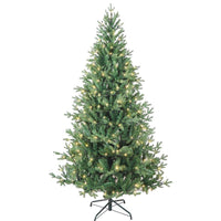 6' Pre-Lit Warm White LED Jackson Pine Tree