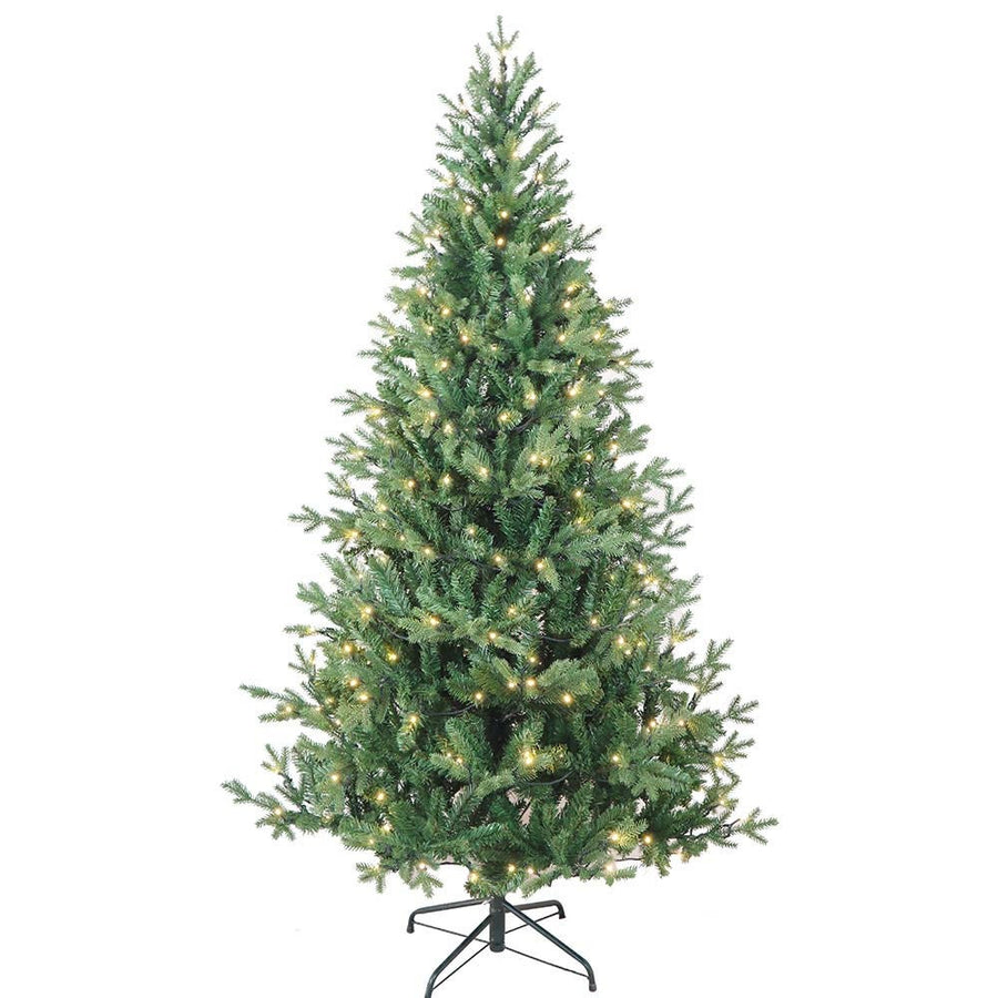 6' Pre-Lit Warm White LED Jackson Pine Tree