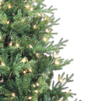 6' Pre-Lit Clear Incandescent Jackson Pine Tree